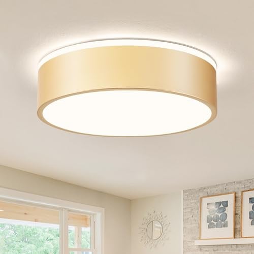 Vikaey Modern Ceiling Lights, LED Gold Metal Ceiling Light, 4000K, 24W | Flush Ceiling Lamp for Living Room Kitchen Bathroom Hallway Dining Room Lounge, 11.81in