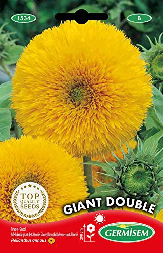 Germisem Giant Double Semillas de Girasol 2 g (EC1534)
