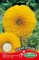 Germisem Sonneblume DUBBEL EC1534 Mehrfarbig