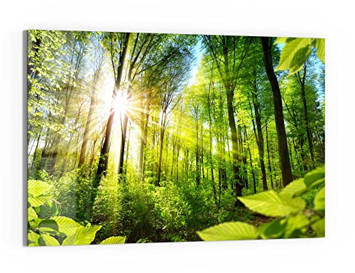 DEQORI Glasbild Echtglas | Motiv Licht durchdringt Bäume | horizontal einteilig 90x60 cm | schöne Dekoration | Wandbild für Wohnzimmer, Schlafzimmer, Flur & Küche | moderne Wanddeko