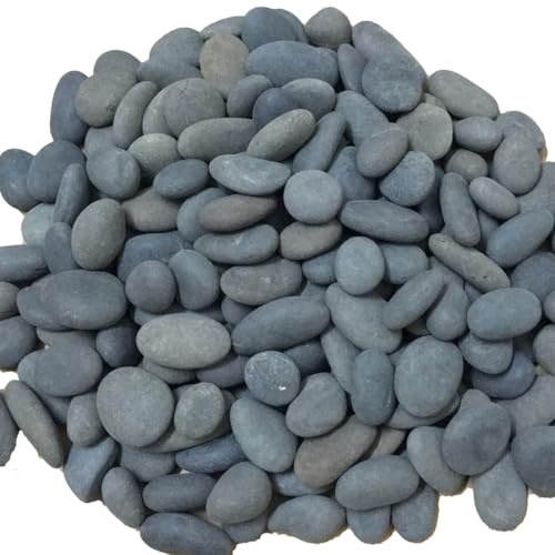 ruidinaways 900g Kiesel Natur Kieselsteine Dekorative Steine ​​Naturkiesel Kies für Aquarium, Garten, Deko & Pflanzen,Ungleichmäßige Bachsteine Steinschotter für Landschaftsgestaltung & DIY-Projekte