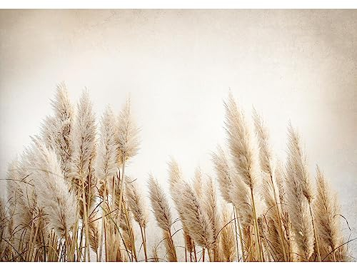 Runa Art Papier peint intissé Mural Boho Herbe de la pampa Moderne Toison Salon Chambre à Coucherr Salle - Tableaux Muraux Tapisserie Photo - Beige 9583010a