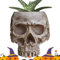 Pots de fleurs en forme de tête de mort pour , squelette, en résine, pot de fleurs d'Halloween en résine, cache-tête de mort pour d'intérieur, pot gothique, bac à bonbons pour la maison