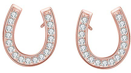 EVER FAITH Hufeisen Ohrstecker aus 925 Sterlingsilber Zirkonia Glückshufeisen-Ohrringe für Damen, Mädchen Klar Gold-Ton