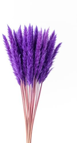 Fresh Plants - Collection de Pampas Stabilisés en Violet - Lot de 5 - Hauteur 85 cm