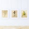 Pack von Sense. Plakate mit Bilder Botanical. Home Decor. Blatt f?r Einrahmung Papier 250?Gramm hohe Qualit?t