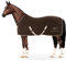 Equinate Abschwitzdecke Nevada aus Fleece mit Widerristpolster und Kreuzbegurtung 165cm Braun