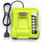 LabTEC Chargeur de Batterie à Port Unique pour Ryobi OP401, 40V de Rechange Li-ION & NI-Cad NI-Mh 12V-18V Chargeur, Compatible avec OP4015 OP4026 OP4040 OP4050, 40 Volt Ryobi Chargeur de Batterie (EU