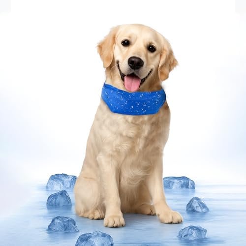 Simply 4 Pets Cooling Dog Collar – Adjustable, Comfortable & Durable – Advanced Cooling Technology for Pet Temperature Regulation – Ideal for Hot Weather, Outdoor Activities, Walks & Playtime (M)
