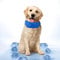 Simply 4 Pets Cooling Dog Collar – Adjustable, Comfortable & Durable – Advanced Cooling Technology for Pet Temperature Regulation – Ideal for Hot Weather, Outdoor Activities, Walks & Playtime (M)