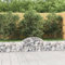Gabionen mit Hochbogen 5 Stk. 200x30x40/60 cm Verzinktes Eisen,jiangboyue-3146050