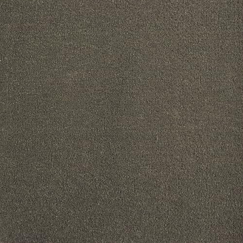 Underfoot Durable Twist Pile Carpet | Action-Backed Carpet | Bleach-Cleanable & Stain-Resistant | Elegant Carpets Colours (Armour, 4m x 5m)