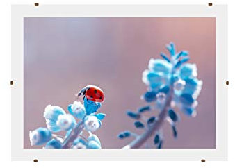 Online-GalleryKing Rahmenloser Bilderrahmen Cliprahmen 40 x 120 cm mit Antireflex Acrylglas und MDF-Holz Rückwand | Foto | Poster | Collage | Rahmen | Alle Größen