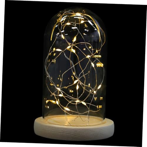 Yardenfun 1stück Glasglocken-lichterkette Mit Kupferdraht Kreative Deko Für Zuhause Mit Lichtern Batteriebetrieben Für Feste Und Partys