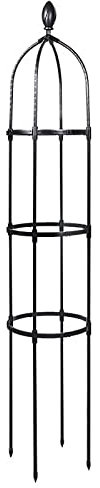 Dysetcs Marco de escalada de metal de hierro forjado para plantas en maceta trepadora de plantas trepadoras y rosas de 31,8 cm de diámetro