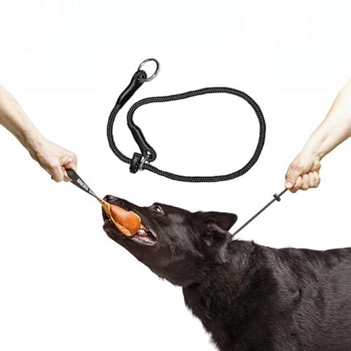 Choke Collar For Dog Training Handmade of Cord with A Limiter (M)