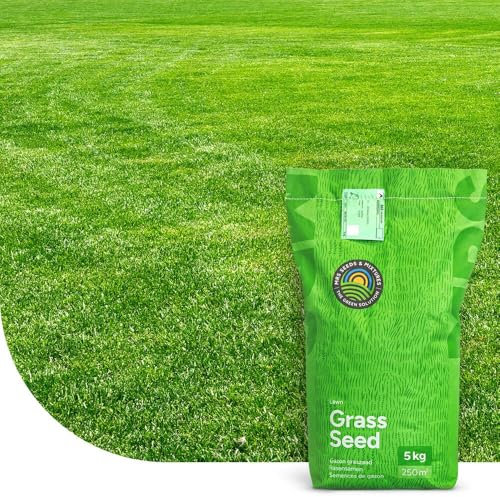 Repair & Restore : Semences de gazon de regarnissage - 5 kg pour 250 m² - Germination rapide - Gazon dense et vert - Idéal pour pelouses et terrains de sport