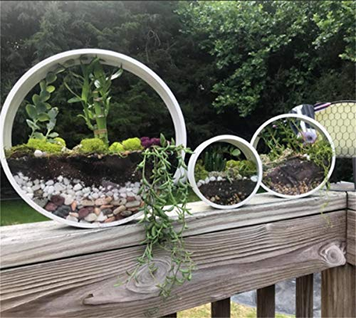 KnikGlass 3 Stück Set Metall Wand Hängende Pflanzen Pflanzgefäß, runde Wandvase, Metall Eisen Pflanzenhalter Retro Wand Dekoration, kreative Wand-Blumentopf mit transparenten Terrarium (Weiß)
