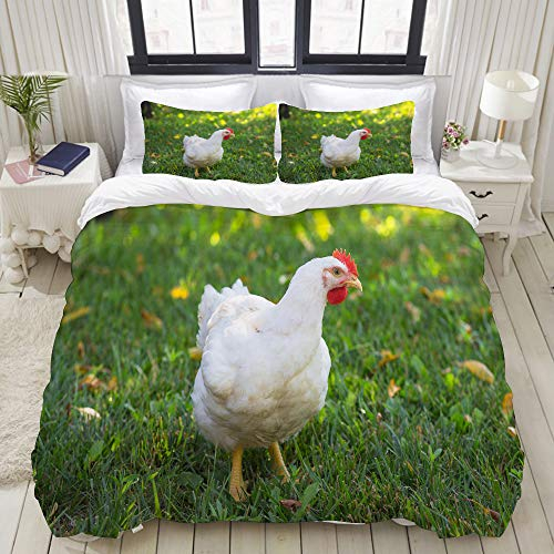 YOUMEISU Bedding Bettwäsche-Set,Rote Broiler weiße Henne auf dem grünen Gras-Huhn-Landwirtschaftsschnabel,Mikrofaser Bettbezug und Kissenbezug - (135 x 200 cm)