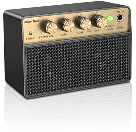 Mini Amplificateur Guitare Électrique 10W Portable Rechargeable