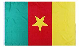 Stormflag Kamerun Flagge (90cmx150cm) Polyester Pongee 90g mit Ösen mit genäht.