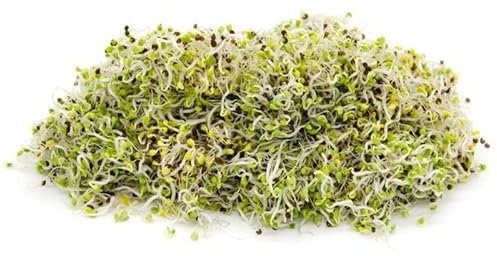 Italian Sprout - Semi per germogli - Pak Choi Panda - 100 gr.