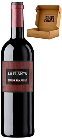 Arzuaga - Envío Gratis 24 H - Vino Tinto Ribera del Duero -Vino Regalo - Cosecha Privada (1 x Botella 75 cl, Roble - La Planta)
