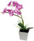 Cabilock LED Tischlampe Orchideenlicht Kreatives Bonsai Licht Verstellbar Ästhetisch für Schlafzimmer Wohnzimmer Garten Helle LED Dekoration
