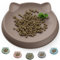 Wingcases - Katzennapf(1pc, 15x15cm, Beige) | Futternapf Katze Silikon | Schutz der Katzenbarthaare | Fressnapf Katze Flach | Teller Breit | Katzen zubehör
