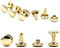 My Belt - 50 Stück Hohlnieten für Leder, Ledernieten 6mm Gold, Doppelkappe Nieten, Gürtelnieten Kappe