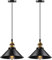 Black Battery Operated Pendant Light Not-Hardwired Fixtures Set of 2,Battery Powered Pendant Lamp with Remote Control Dimmable Lighting，Hanging Ceiling Light（Included Bulb and Charging Cable）