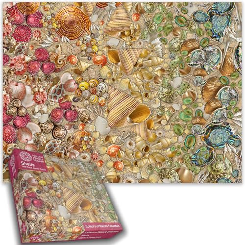 1000 Piece Jigsaw Puzzle - Natural History Museum - All styles of Sea Shells - Large puzzle 66 x 50 cm