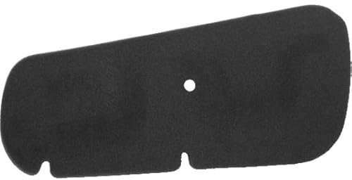 RIDE AND CUSTOM Filtro Area Compatibile con Honda Fes 150 Pantheon 150 1998-2002