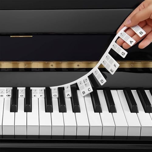 AUMAYCO Removable Piano Keyboard Note Labels, Piano Notes Guide 88-Key Full Size for Beginner, No Need Stickers, Reusable and Comes with Box