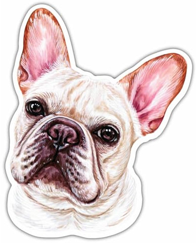 Samunshi® Französische Bulldogge Aufkleber Wohnmobil aufkleber für Motorrad Fahrrad Roller oder Camper Camping Wohnwagen Mountainbike Rennrad Hund Dog Dogo 20cm Französische Bulldogge