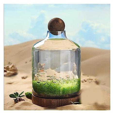 Zhaoj24-05 Aquarium Mini Aquarium-Glasflasche, ökologische Kultur, Mikrolandschaft, selbstzirkulierender Kleiner Pflanzentank mit Tischdekoration auf Holzbasis Per l'allevamento di Pesci Rossi(Groß)