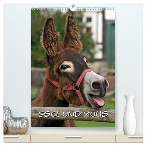 Esel und Mulis (hochwertiger Premium Wandkalender 2026 DIN A2 hoch), Kunstdruck in Hochglanz: Liebenswerte graue Gesellen (CALVENDO Tiere)