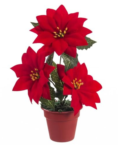Fantastiko Blumentopf Blume Ostern Ponsetien 22 cm