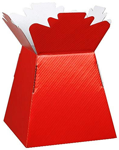 floral natalie 5 x Red Florist Aqua Living Vases-Hand Tie Boxes by Apac, Cardboard, 24.5x18x18 cm