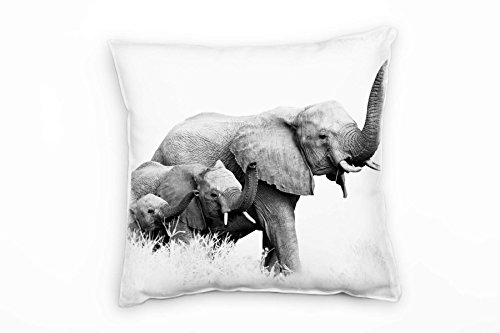Paul Sinus Art Tiere, Elefanten, grau, weiß Deko Kissen 40x40cm für Couch Sofa Lounge Zierkissen - Dekoration zum Wohlfühlen