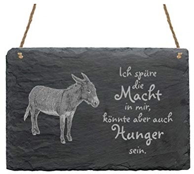 Schiefertafel ESEL + Spruch Ich spüre die Macht in mir - Wanddeko