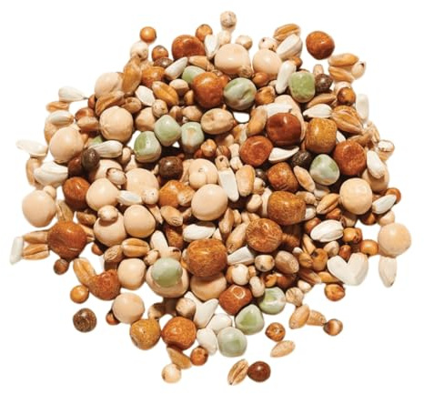 Countrywide Young Bird Plus Maize Pigeon Food 20kg - High Energy Feed For Young Pigeons - Used By Leading Fanciers All Year Round