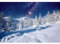 YongFoto 2,2x1,5m Hiver Neige Paysage Photographie Toile de Fond Arbre De Noël Montagne Enneigée Ciel Bleu Nature Paysage Fond De Noël Fête De Famille Enfants Portraits Photo Studio Props Vinyle