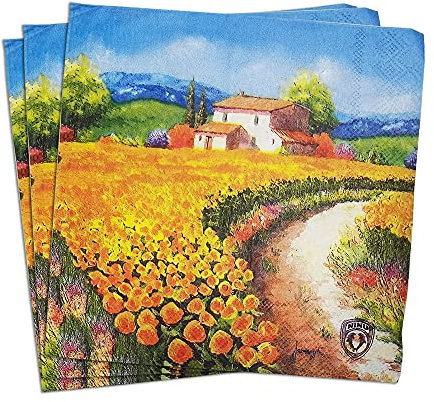 20 Stück farbige Papierservietten im Vintage-Decoupage-Stil für Abendessen, Tee, Partys und Duschen, Camp de floarea Soarelui