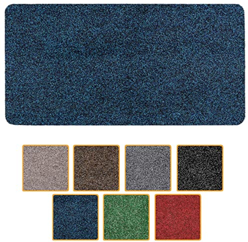 ANRO Fußmatte Schmutzfangmatte waschbar wasserdicht robust Schmutzfänger für Eingang, Haustür, Flur, Küche, Schlafzimmer Poet 40x60cm Carpet Blau