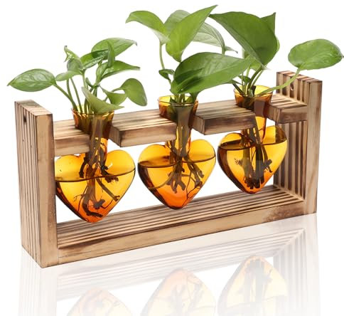 Estaciones de propagación de terrario para plantas, hidroponía, decoración del hogar, jardín, regalo para mujeres con soporte de madera, jarrón de vidrio de colores en forma de corazón