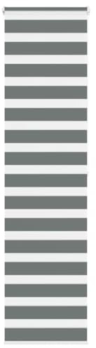 vidaXL Doppelrollo Dunkelgrau 60x200 cm Stoffbreite 55,9 cm Polyester