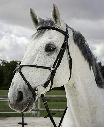 Riding World Trensenzaum mexikanisches Reithalfter Cob Gelbbraun