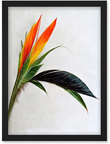 Wee Blue Coo Tropical Plant Bird of Paradise Flower Botanical Bloom Artwork Framed Wall Art Print A4