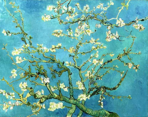liziciti 5D Diamond Painting Kits 30,5 x 40,6 cm Vollbohrer Van Gogh Diamant Malerei Wand Diamant Punkte Dekor DIY (Mandelblüte)
